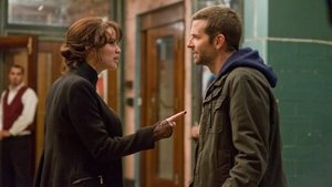 Silver Linings Playbook (2012)