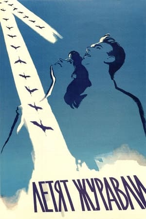 Poster Летят журавли 1957