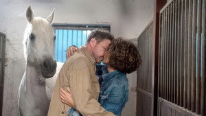 Rote Rosen Season 15 :Episode 132  Episode 2732