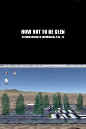 How Not to Be Seen: A Fucking Didactic Educational .MOV File 2013