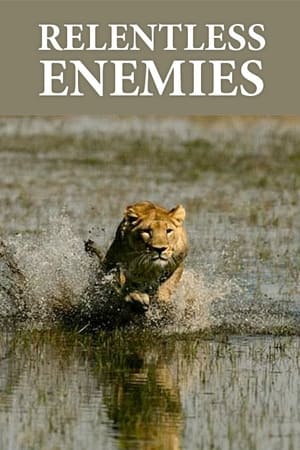 Poster Relentless Enemies: Revealed 2022