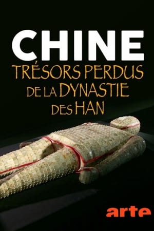 Télécharger Chine : trésors perdus de la dynastie des Han ou regarder en streaming Torrent magnet 