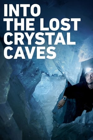 Poster Into the Lost Crystal Caves 2010