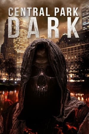 Poster Central Park Dark 2021