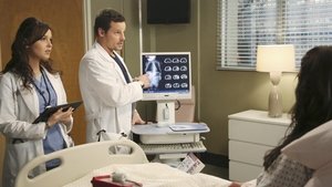 Grey’s Anatomy Season 9 Episode 15