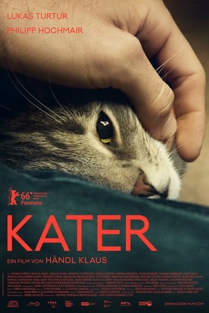 Image Kater