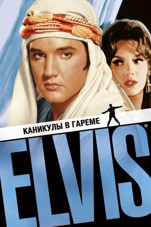 Poster Каникулы в Гареме 1965