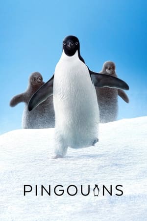 Image Pingouins