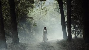 LA LLORONA DE LOS CAFETALES