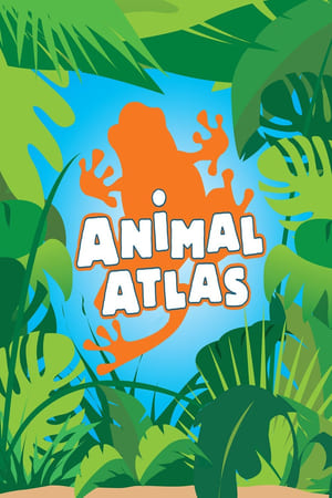 Image Animal Atlas