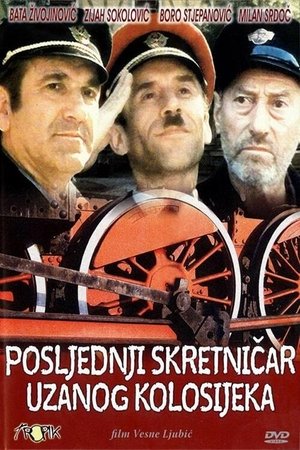 Télécharger Posljednji skretničar uzanog kolosijeka ou regarder en streaming Torrent magnet 