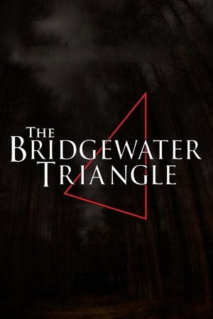 The Bridgewater Triangle (2013)