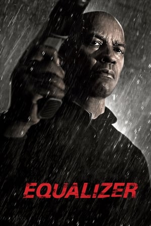 Poster Equalizer 2014