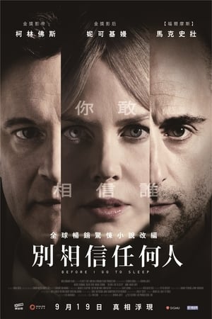 Poster 在我入睡前 2014