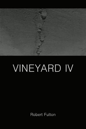 Image Vineyard IV