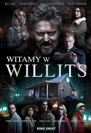 Poster Witamy w Willits 2016