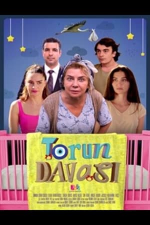 Image Torun Davası