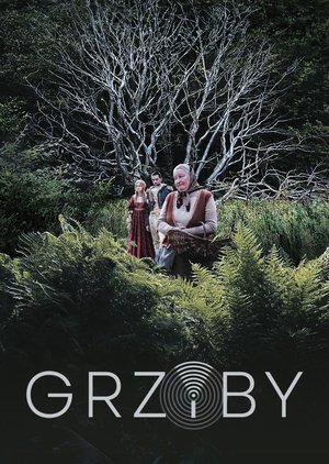 Grzyby 2024