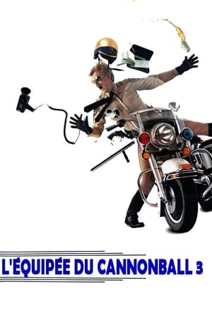 Télécharger L'Équipée du Cannonball 3 ou regarder en streaming Torrent magnet 