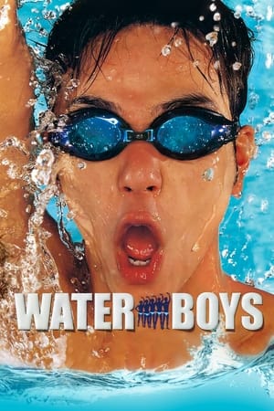 Poster Waterboys 2001