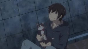 同居人时而在腿上,时而跑到脑袋上。 Season 1 Episode 12