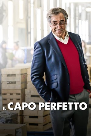 Il capo perfetto 2021