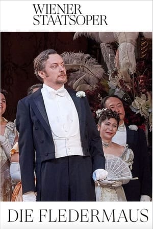 Image Die Fledermaus