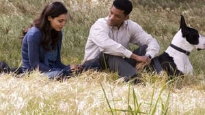 Seven Pounds (2008)