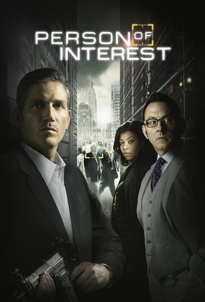 Person of Interest S02E06