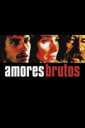 Poster Amores Brutos 2000