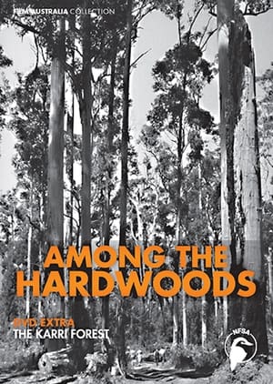 Image Among the Hardwoods