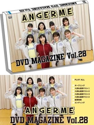 Télécharger アンジュルムDVDマガジンVol.28 ou regarder en streaming Torrent magnet 