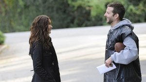 Silver Linings Playbook (2012)