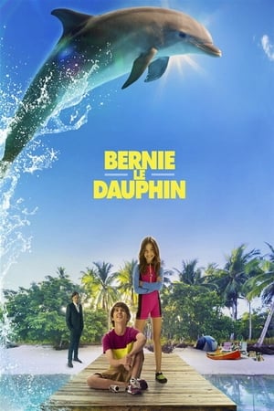 Poster Bernie le dauphin 2018