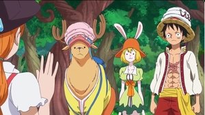 One Piece Episode 791