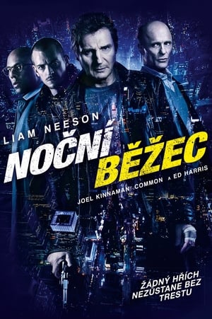 Poster Noční běžec 2015