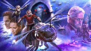 Images posters