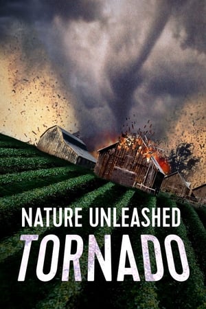 Image Tornade