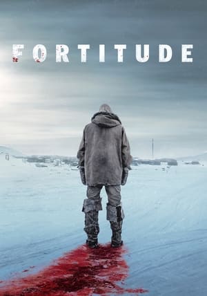 Poster Fortitude 2015