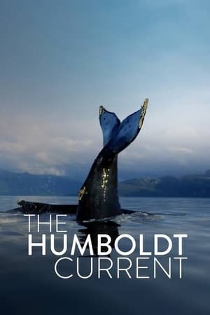 The Humboldt Current 2022