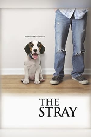 Image The Stray