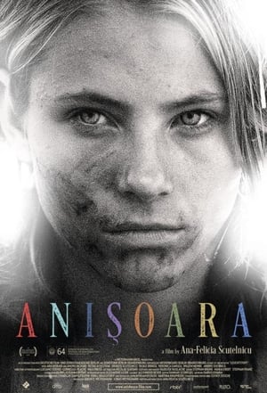 Poster Anishoara 2016