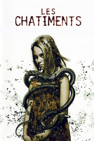 Poster Les Châtiments 2007