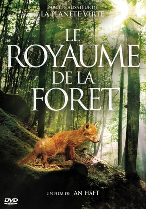 Télécharger Le royaume de la forêt ou regarder en streaming Torrent magnet 