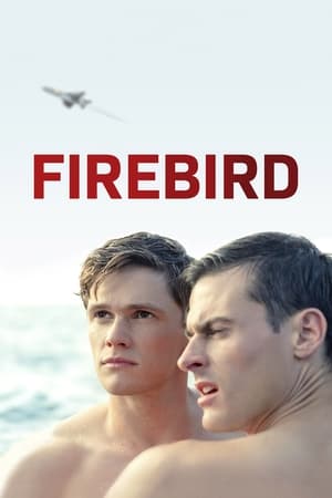 Poster Firebird 2021