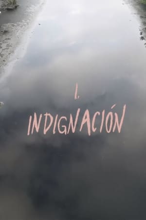 Poster Indignación 2024