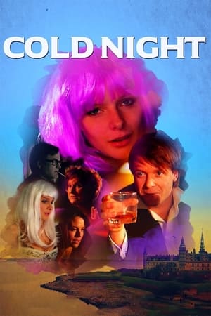 Poster Cold Night 2019