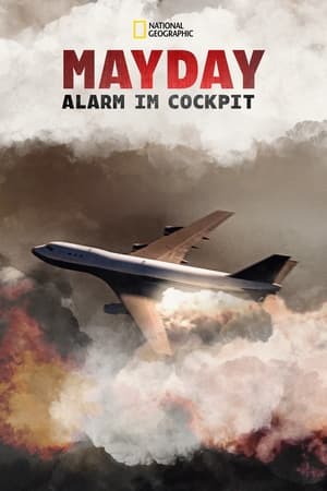 Mayday – Alarm im Cockpit Staffel 14 Vom Dschungel verschlungen 2024