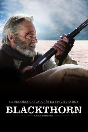 Télécharger Blackthorn, la dernière chevauchée de Butch Cassidy ou regarder en streaming Torrent magnet 