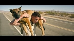 Capture of Dog (2022) FHD Монгол хадмал